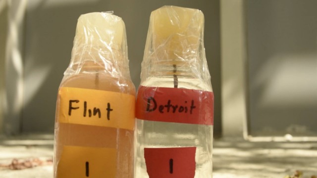 Contamination of water in Flint
