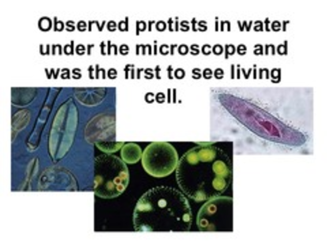 Anton Van Leeuwenhoek