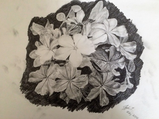 I had my first art piece on display