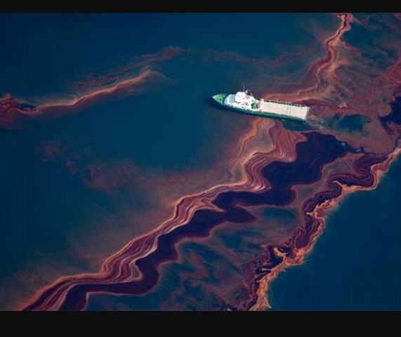 Oil Spill in the Gulf