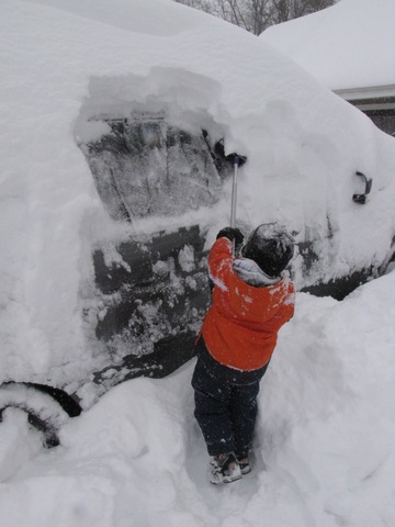 North American Blizzard