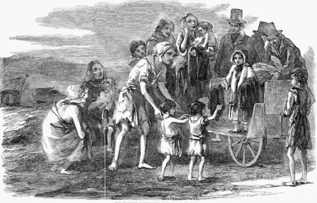 IPF Immigrants + effects