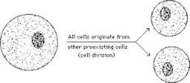 Rudolf Virchow- (1855)