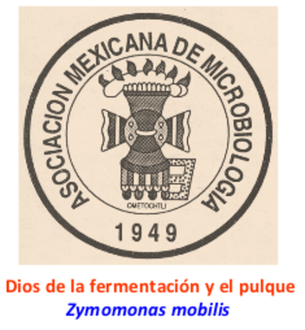 Fundación de la Asociación Mexicana de microbiología