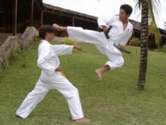 Artes Marciales
