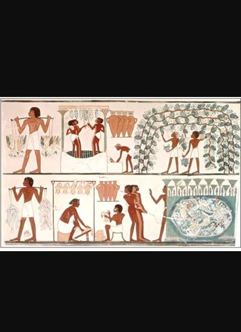 EDAD ANTIGUA : EGIPTO