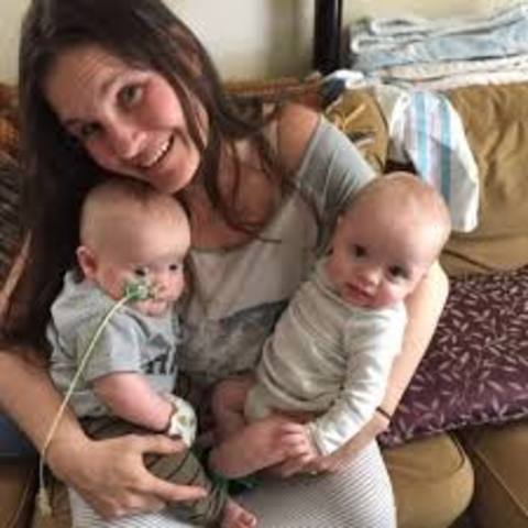 Mrs. Hahn's Website was created