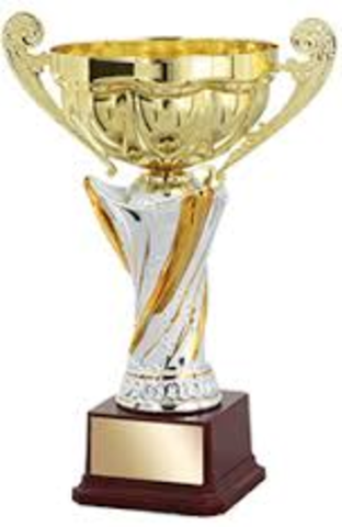 State Tournament in Colombus, Georgia