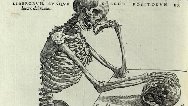 "On the Fabric of the Human Body"