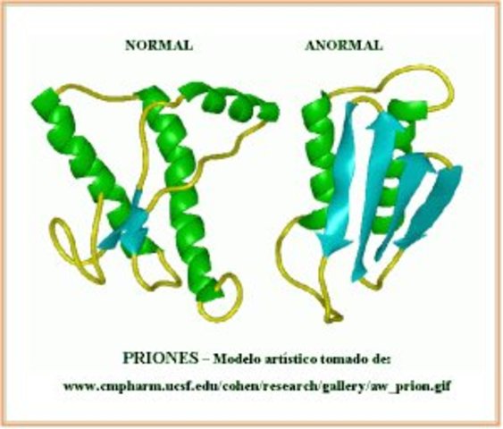 Descubrimiento de los priones