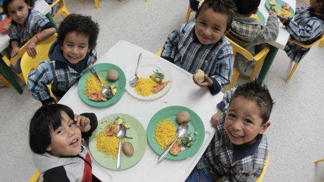 2009  Secretaría Distrital de Integración Social