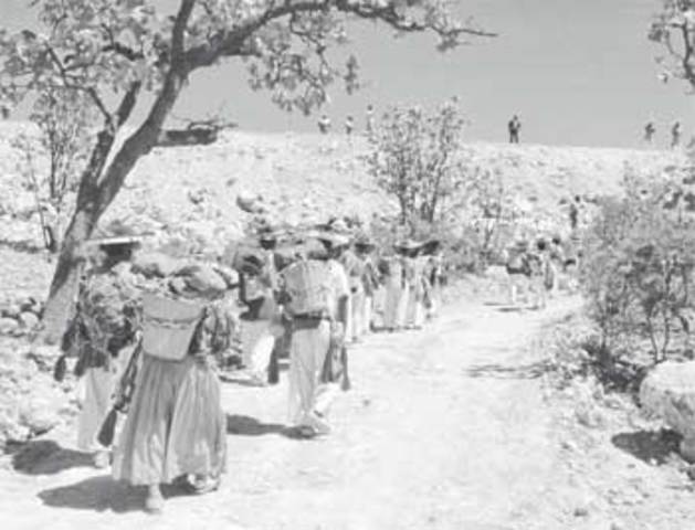 La propiedad Territorial  (1883-1894)