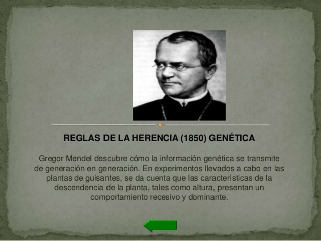 REGLAS DE LA HERENCIA