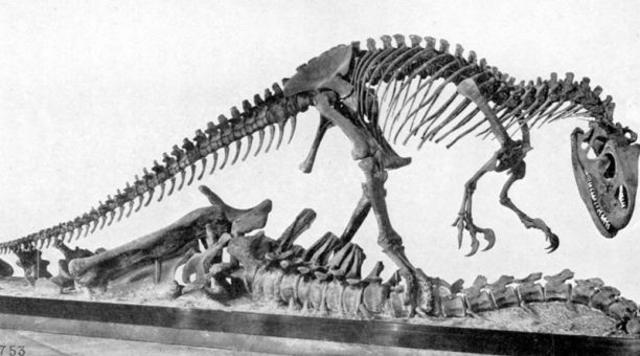 LOS PRIMEROS FÓSILES DE DINOSAURIOS