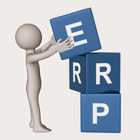 Grupo Gartner (Planificacion de recursos empresariales ERP)