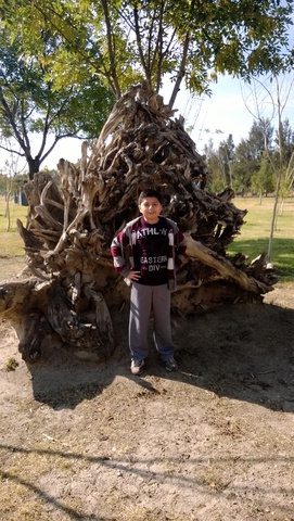 Paseo en el parque del arte