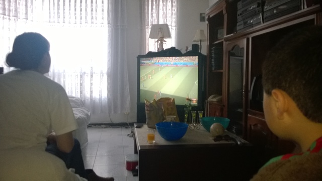 viendo el partido Mexico-Holanda