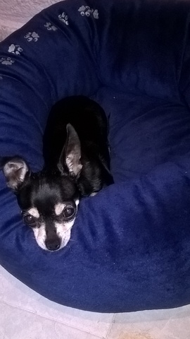 la nueva integrante de la familia