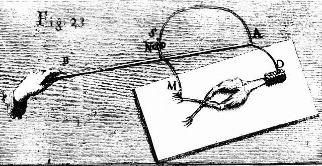 Luigi Galvani Discovers Electricity In A Different Form