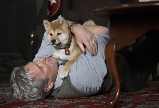 Hachiko had had an owner