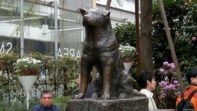 Hachiko's monument