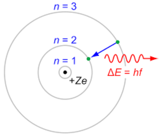 Niels Bohr: Tenint en compte Rutherford i la hipótesi de Plank, elabora el primer model de l'àtom en el qual els electrons es mouen al voltant del nucli.