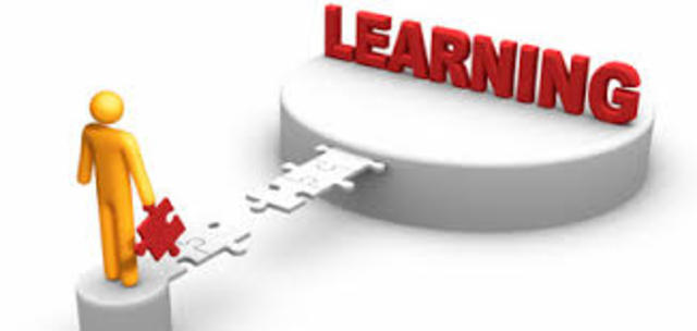 The Learning Organization