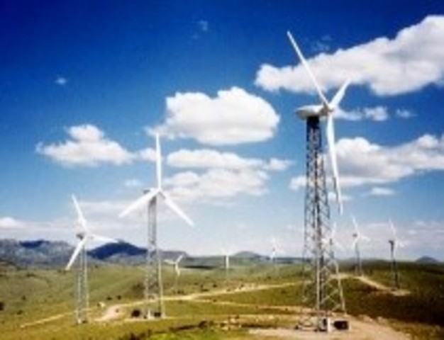 1995 - Texas/California Farms