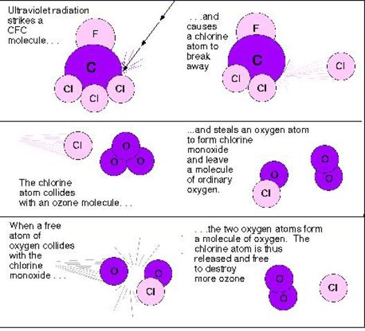 Ozone-depleting properties of CFCs recognized