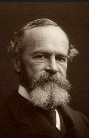 1879 Wilhem Wundt Primer Psicólogo Experimental, desarrolló el método introspectivo. 1879 fundó el primer laboratorio de Psicología. SItuó a la Psicología en un contexto de otras ciencias, explicando en que se asemejaba y en que se diferenciaba de ellas.