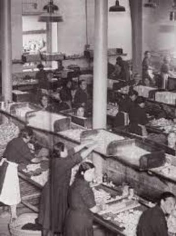 1912 Ley de la Silla