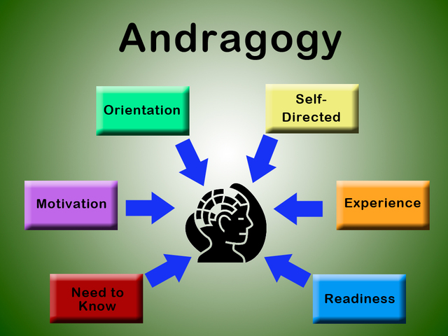 Andragogy