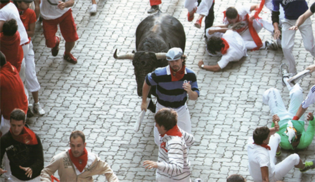 Este año te pilló el toro