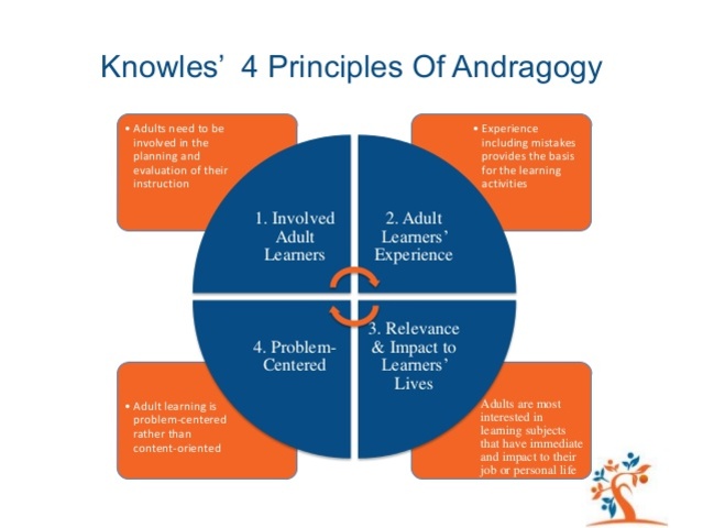Theory of Adult Learning