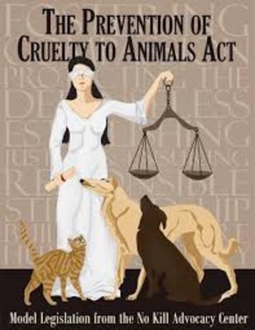 American Society for the Prevention of Cruelty to Animals