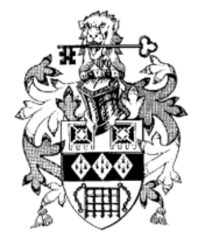 Distinguished Fellow