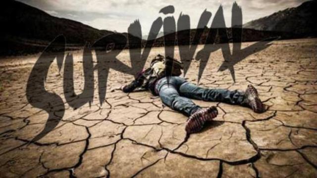 Short Term Solutions