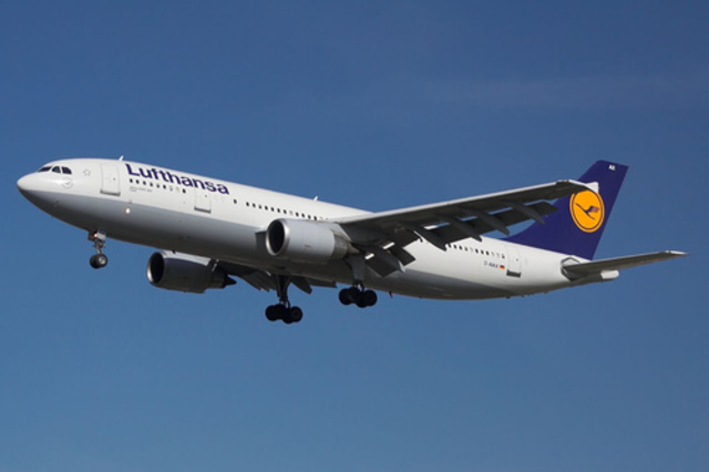 Felix wird verpackt und bereit zu fliegen nach München