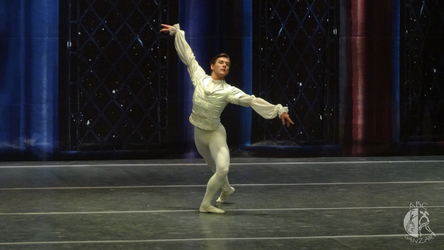 Hombres en el ballet