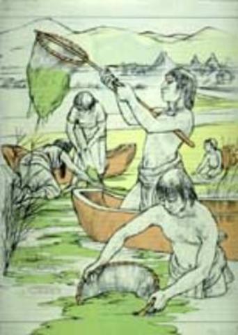 AZTECAS RECOLECTABAN ALGAS PARA LA ALIMENTASION DE LOS LAGOS