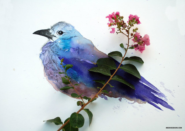 Ornithological/Ornithology