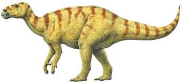Iguanodon was named