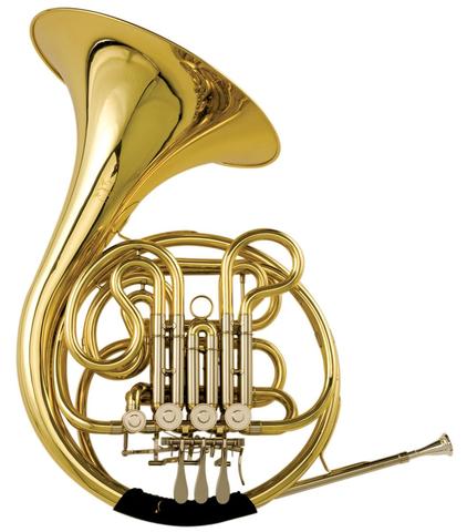 Double horn
