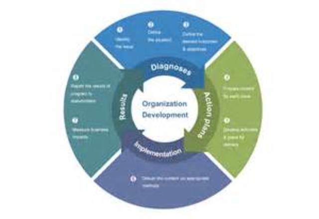 Measurement, Understanding the Business, and Organizational Development