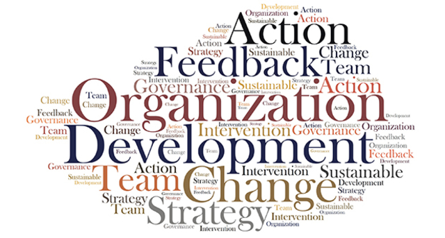 Career and Organization Development