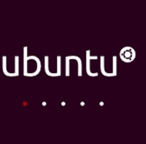 Nace Ubuntu version 10.04