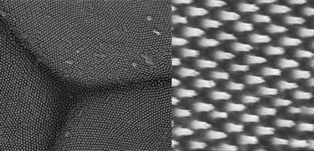 Moth Eyes Biomimicry