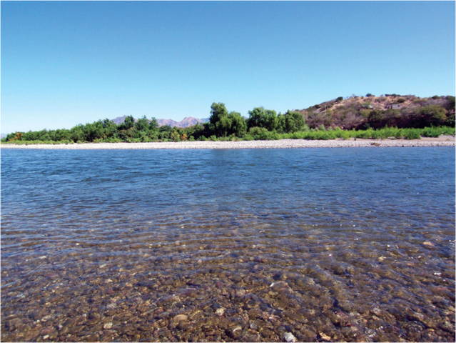 Comisión Tepalcatepec - Balsas