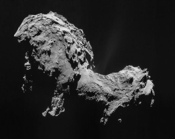 Landing on a Comet