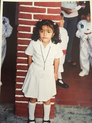 Desfile el 20 e noviembre